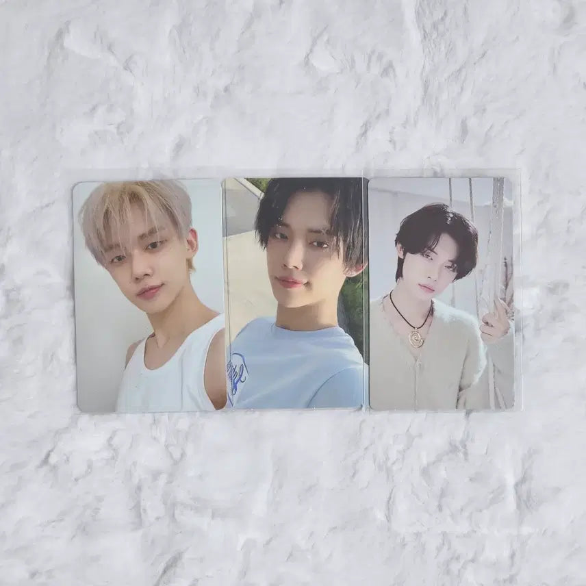 일괄 / 투바투 최연준 포카 양도 스윗 위버스 파이트 파오이 티어 재팬