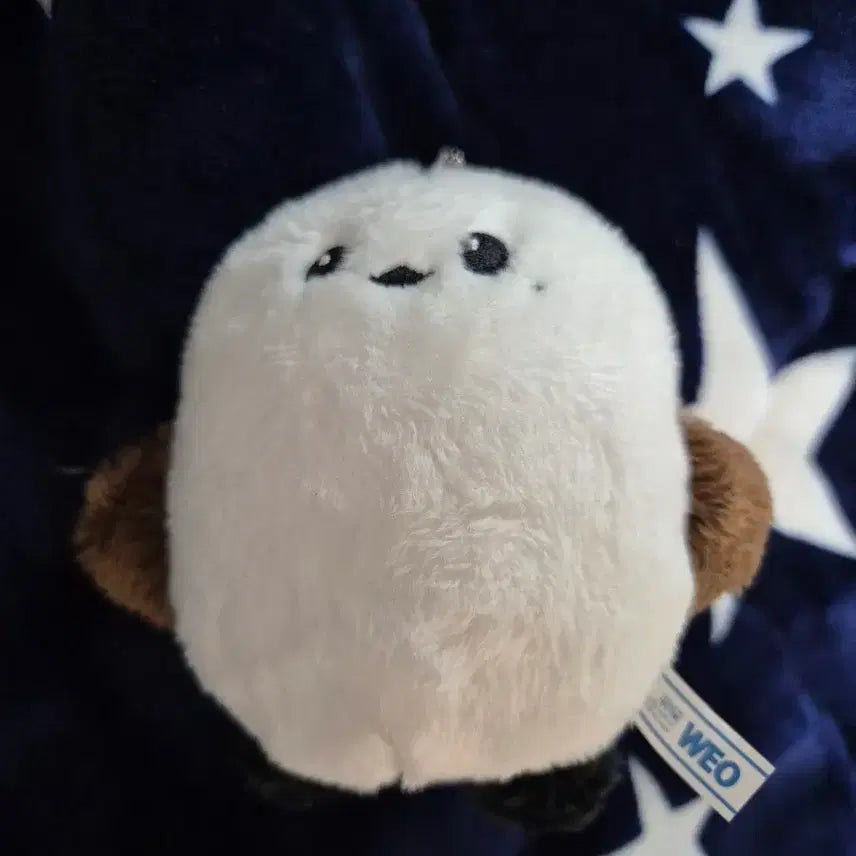 소녀시대 태연 인형 뱁꾸