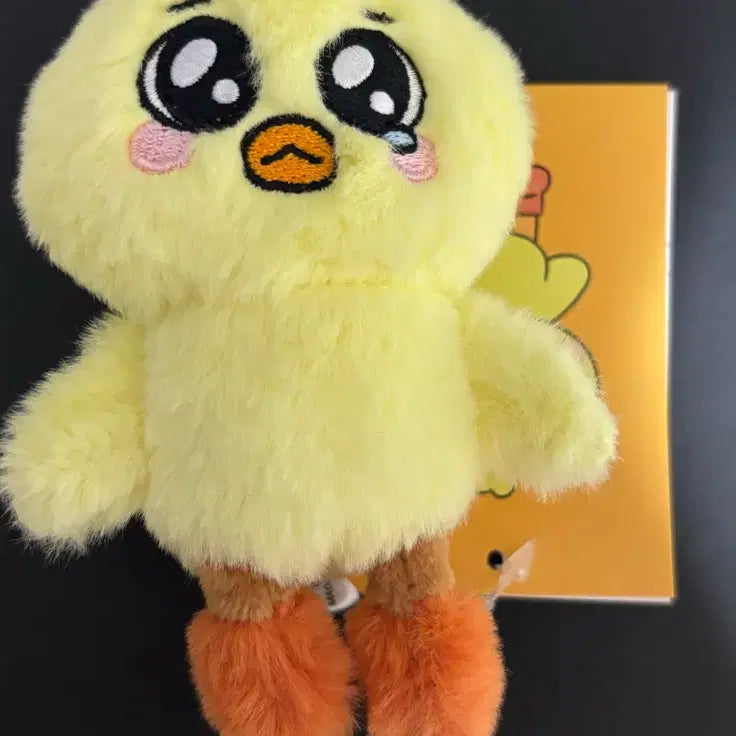 엔믹스 배이 10cm 인형 울뵤