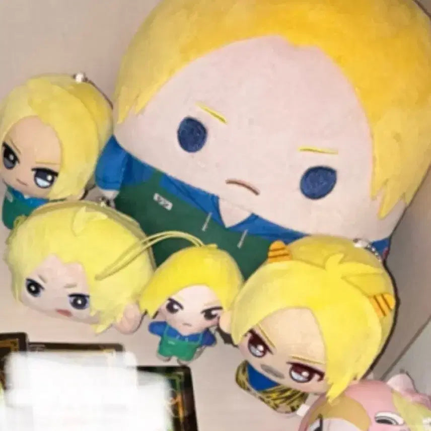 급처) 아사쿠라 신 일괄