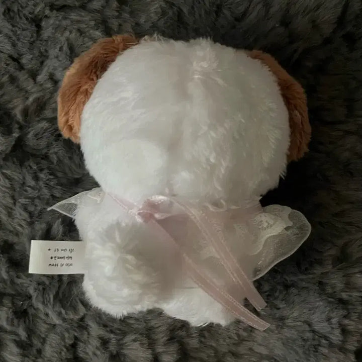 보이넥스트도어 리우 인형 솜리우