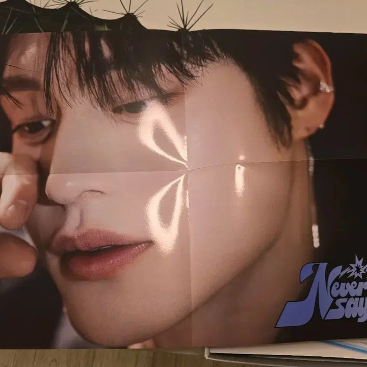 제로베이스원 Never Say Never 앨범 양도