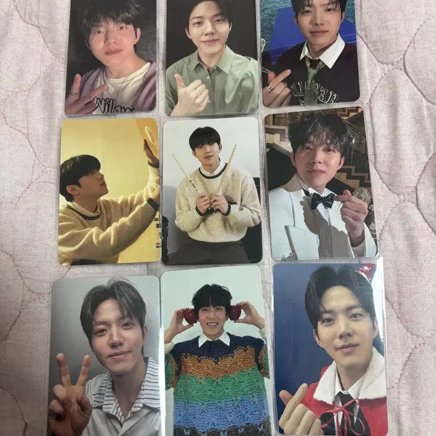 데이식스 도운 포카 9장 일괄