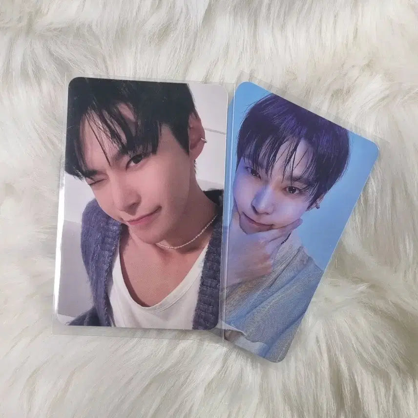 퍼퓸 도영 포카 일괄