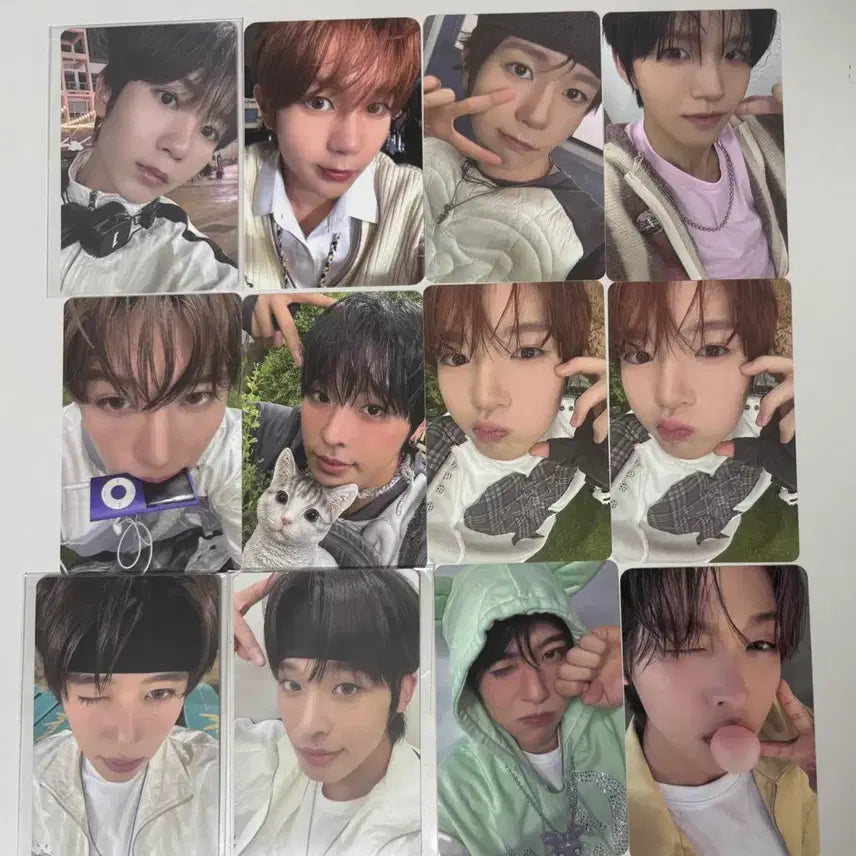 엔시티 위시 컬러 팝팝 앨포 포카 일괄 양도 wish pc nct