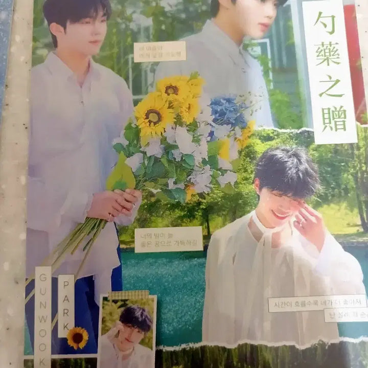 제로베이스원 박건욱생일기념 포카엽서 세트