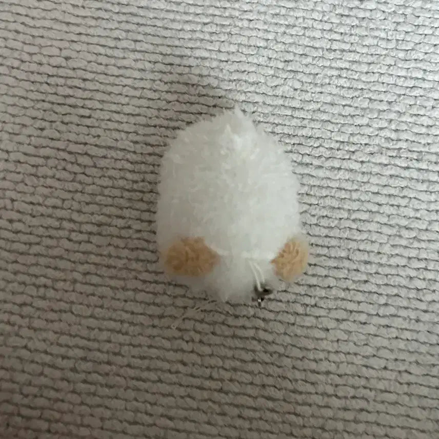 데이식스 쁘멀 구버전 사족보행 인형 도운 돈