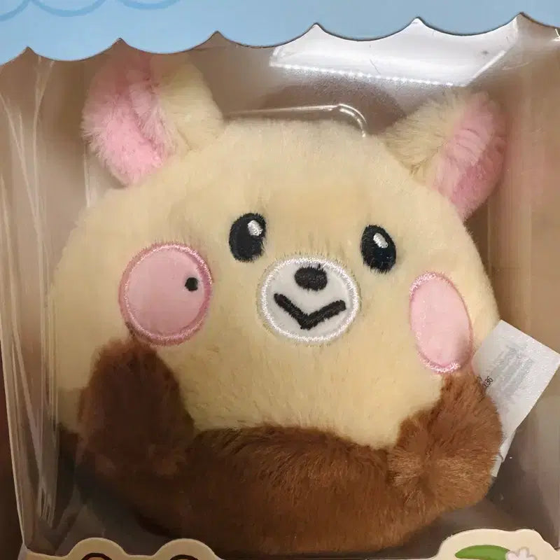 엔시티드림 밤찌 양도(포카 포함 양도)