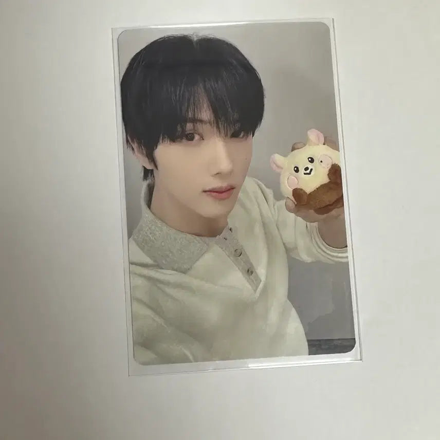 엔시티드림 밤찌 양도(포카 포함 양도)