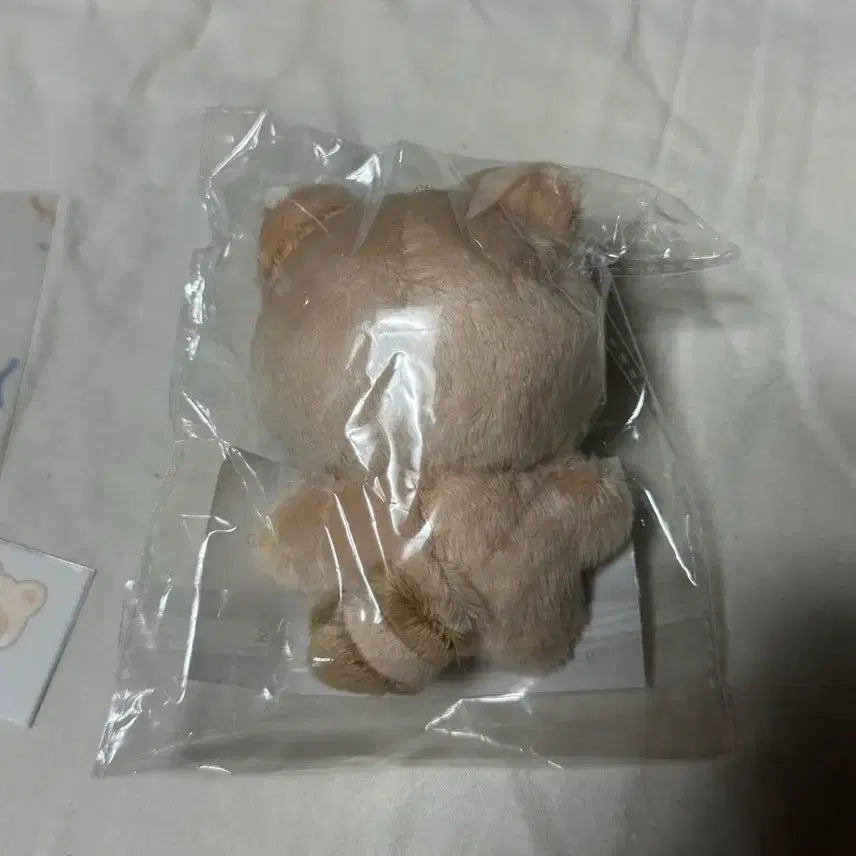 제베원 아가짱 하짱 장하오 인형 양도