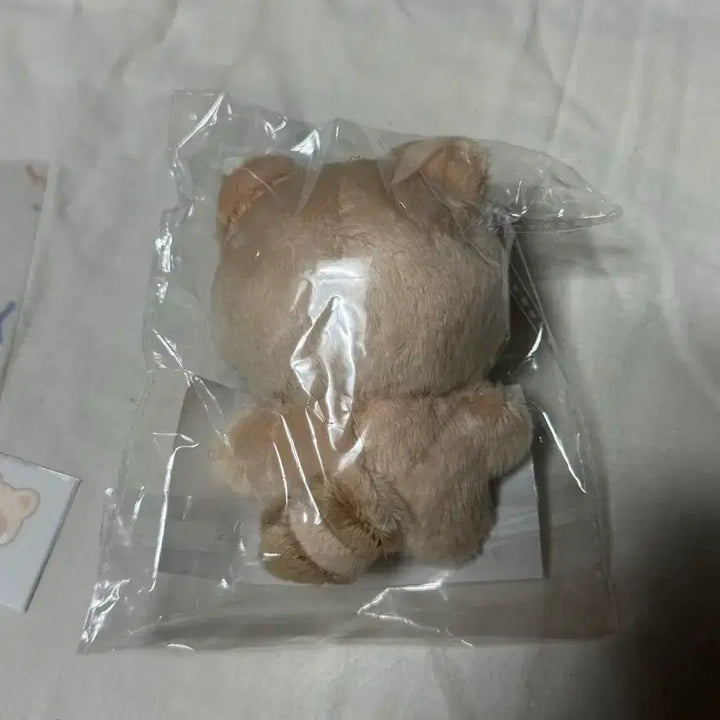 제베원 아가짱 하짱 장하오 인형 양도