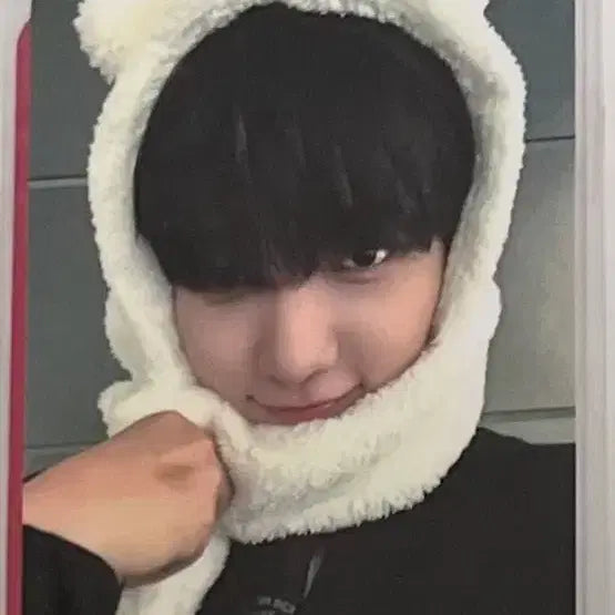 보넥도 태산 명재현 포카양도 (디액션 19.99 노장르)