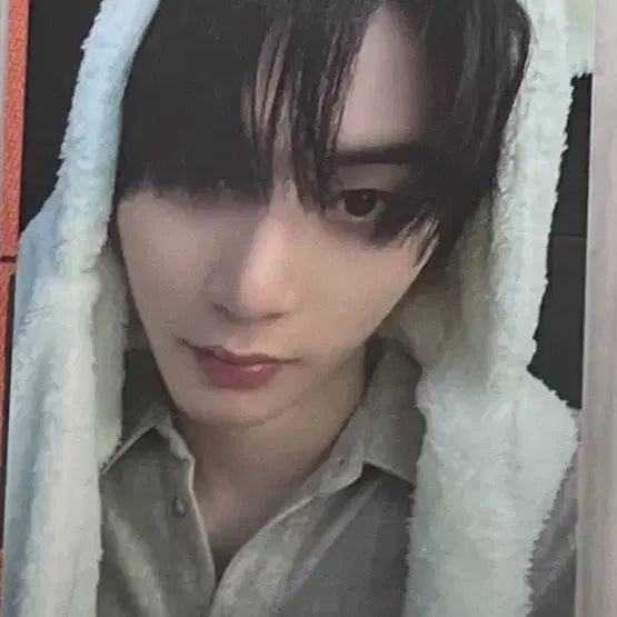 보넥도 태산 명재현 포카양도 (디액션 19.99 노장르)