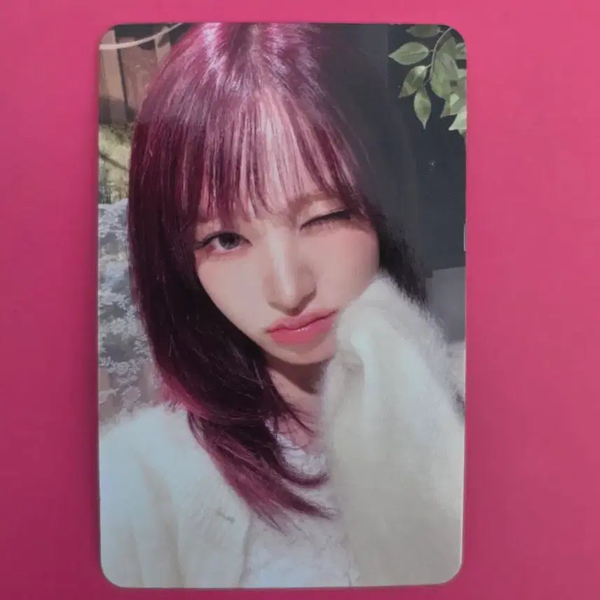 아이브 리즈 가요대축제 공방포카 사녹 장원영 유진 레이 이서 가을 콘서트