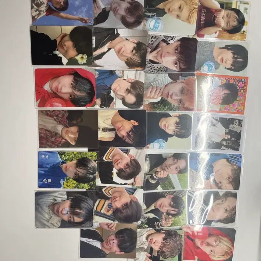 보이넥스트도어 보넥도 포카 일괄 양도 성호리우재현태산이한운학