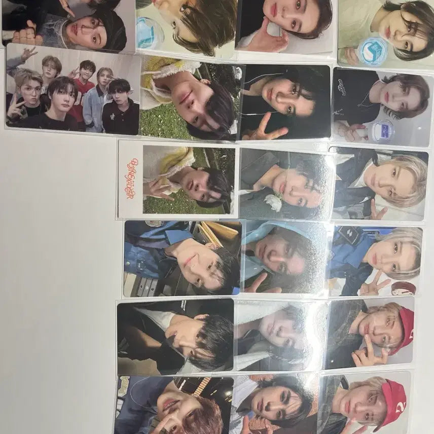 보이넥스트도어 보넥도 포카 일괄 양도 성호리우재현태산이한운학