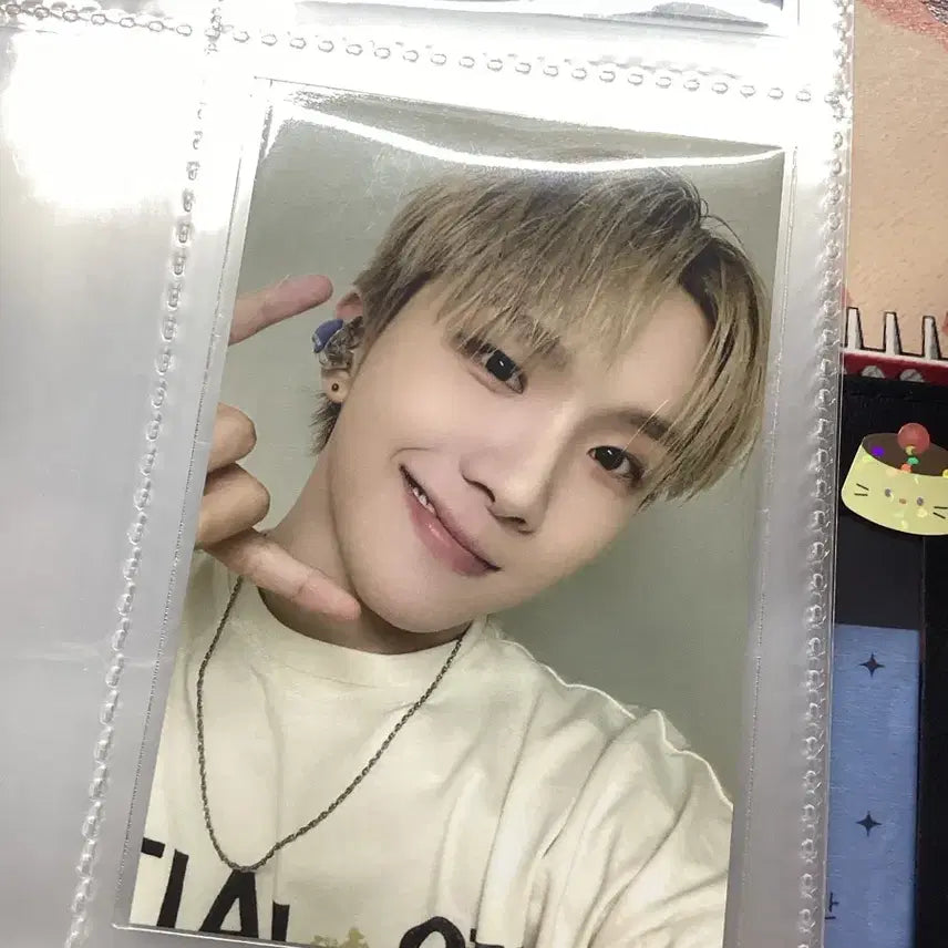 보이넥스트도어 보넥도 포카 일괄 양도 성호리우재현태산이한운학