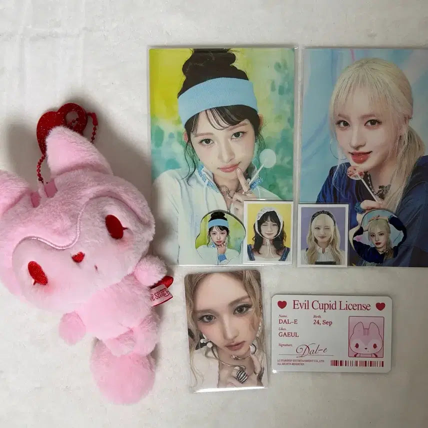 아이브 가을 시크릿 인형 레이 리즈 시그 구성품 일괄