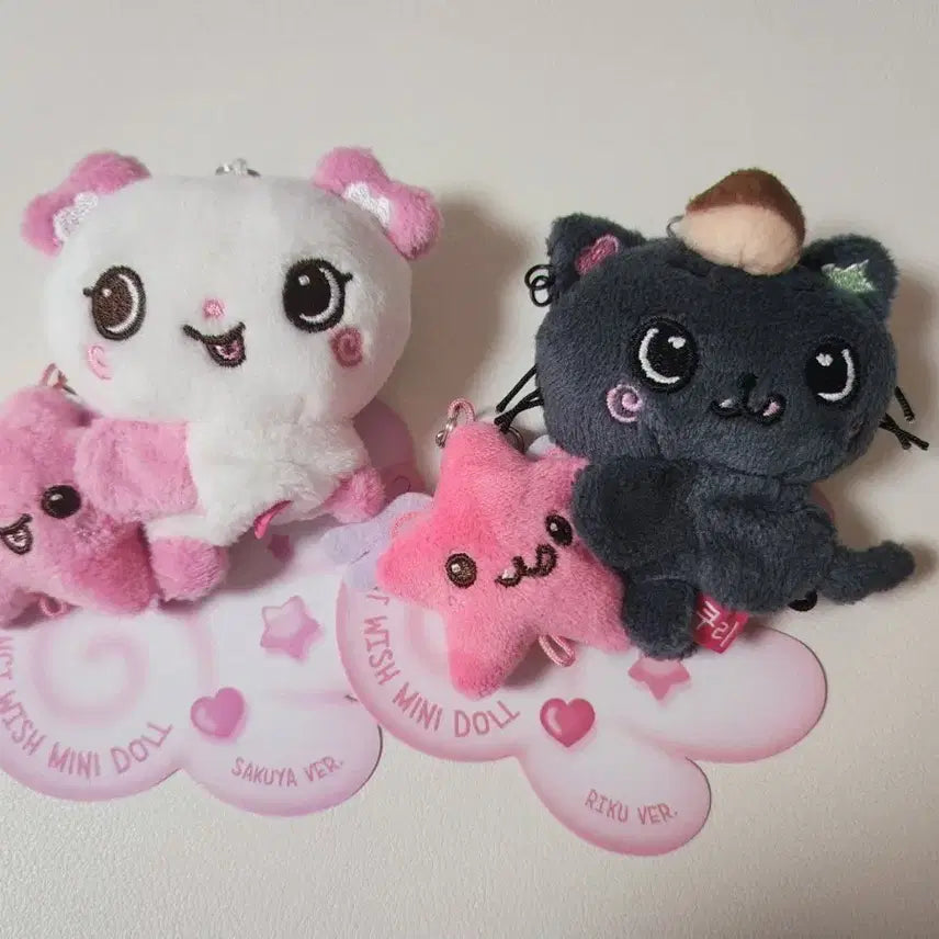 엔시티 위시 사쿠야 리쿠 팡이 쿠리 미니돌