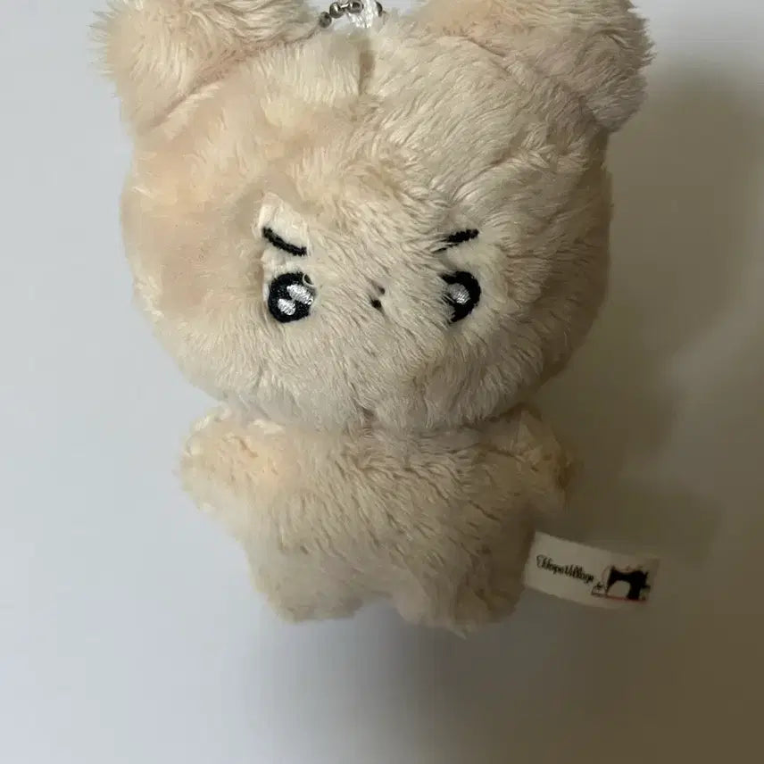 더보이즈 현재 인현 횬도리