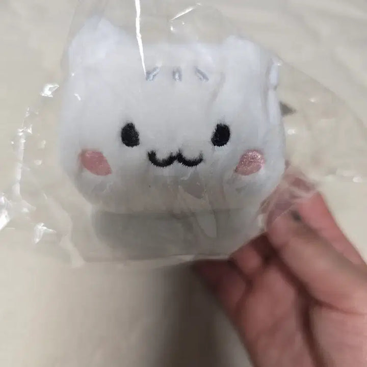 태민 러브블러썸 팝업 댕이미니인형