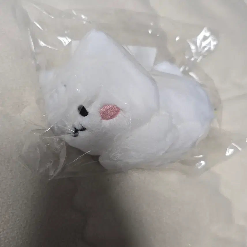 태민 러브블러썸 팝업 댕이미니인형