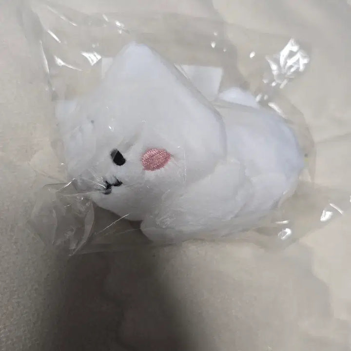 태민 러브블러썸 팝업 댕이미니인형