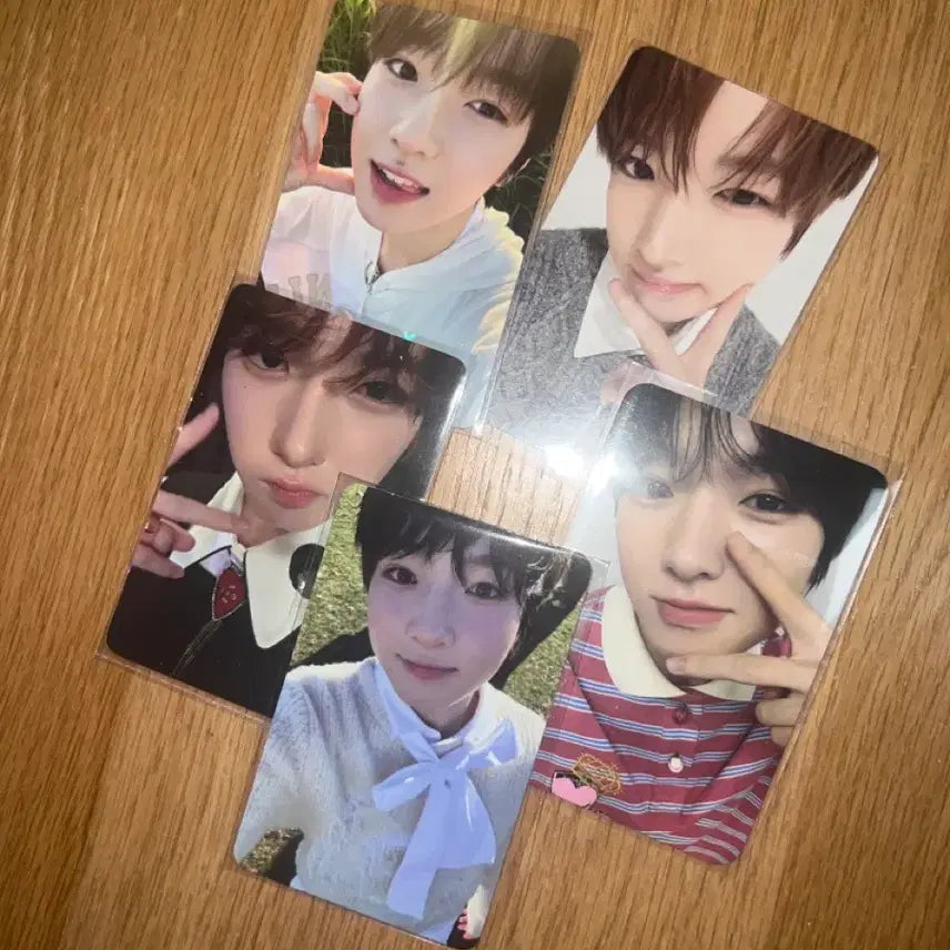 사쿠야세트 엔시티위시 사쿠야 포카 일괄 팝머치 스테디 컬러