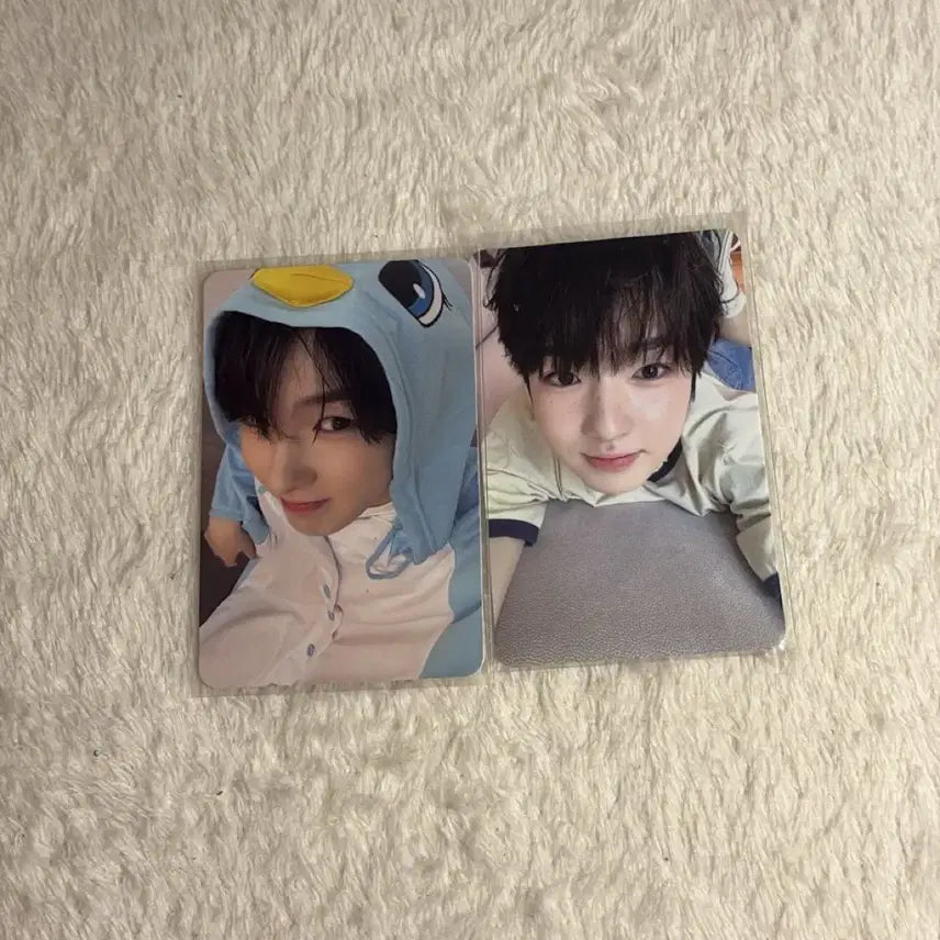 엔시티 위시 포카 양도