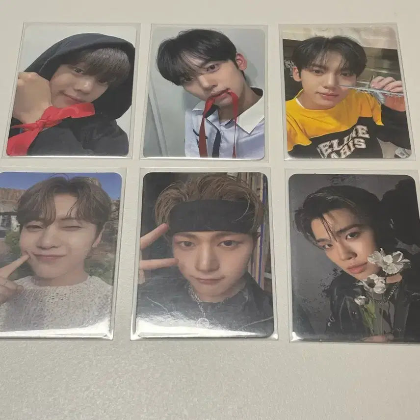 일괄 제로베이스원 포카