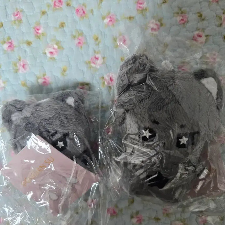 엔시티위시 리쿠 인형 쿠앙이 미개봉