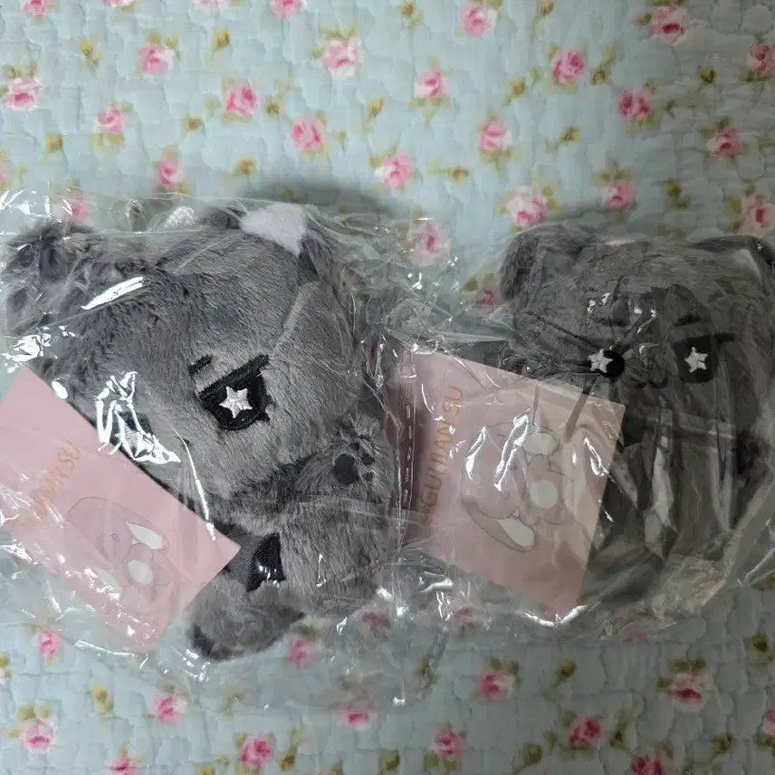 엔시티위시 리쿠 인형 쿠앙이 미개봉