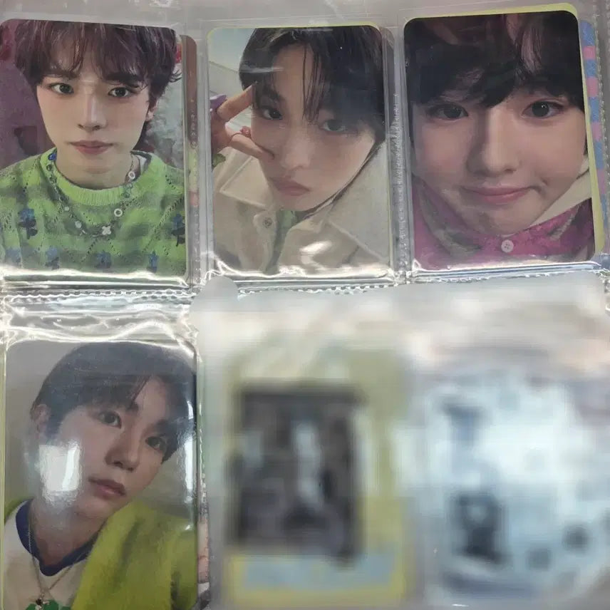 엔시티위시 위시 일본반 개인 포카 (유우시 리쿠 사쿠야 료) 일괄