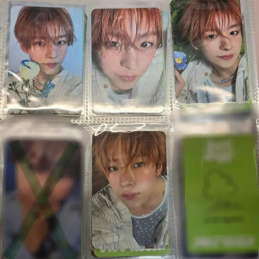 엔시티위시 유우시 송버드 하타치 포카 일괄