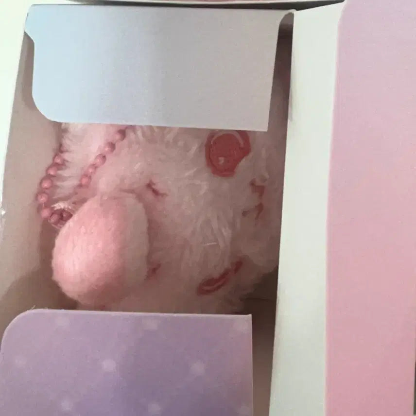 엔시티 위시 컬러 위시돌 쿠리