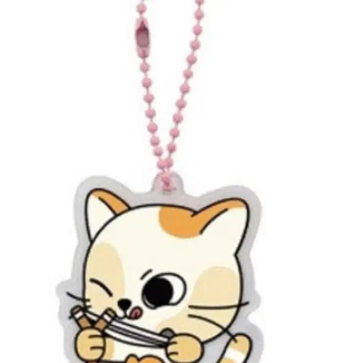 정품) 쁘넥도 캣삐 아크릴 키링