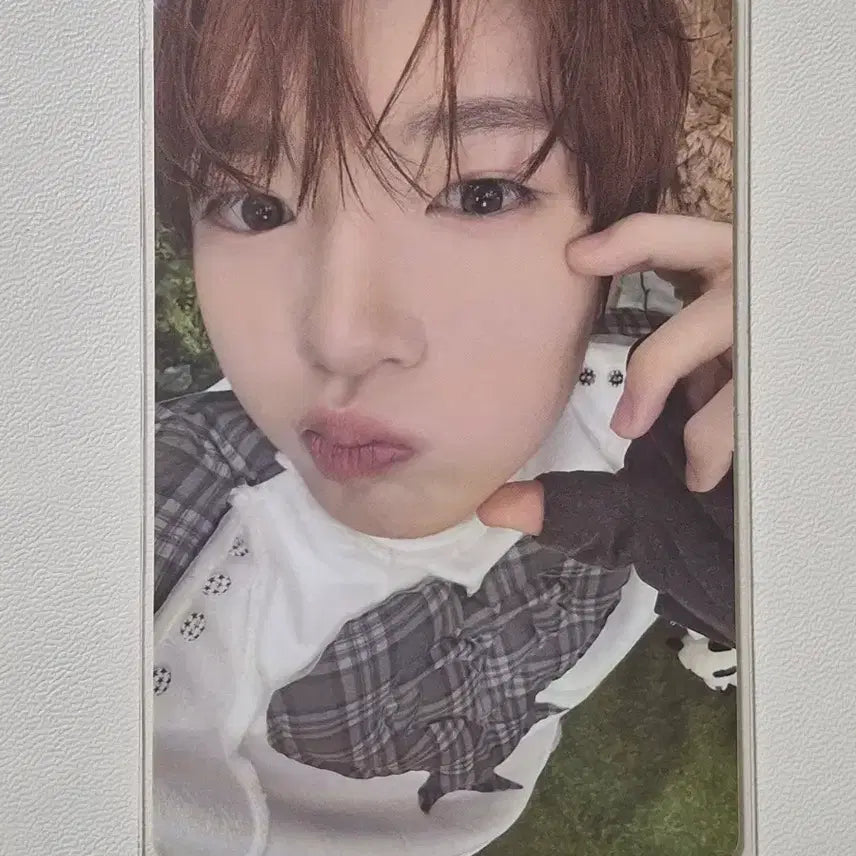 엔시티위시 사쿠야 컬러 쥬얼 개인반 포카 양도