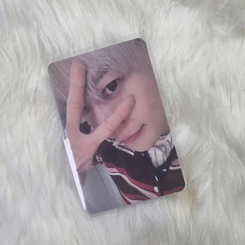 nct127 삐그덕 도영 프롬스토어 fromm store 포카