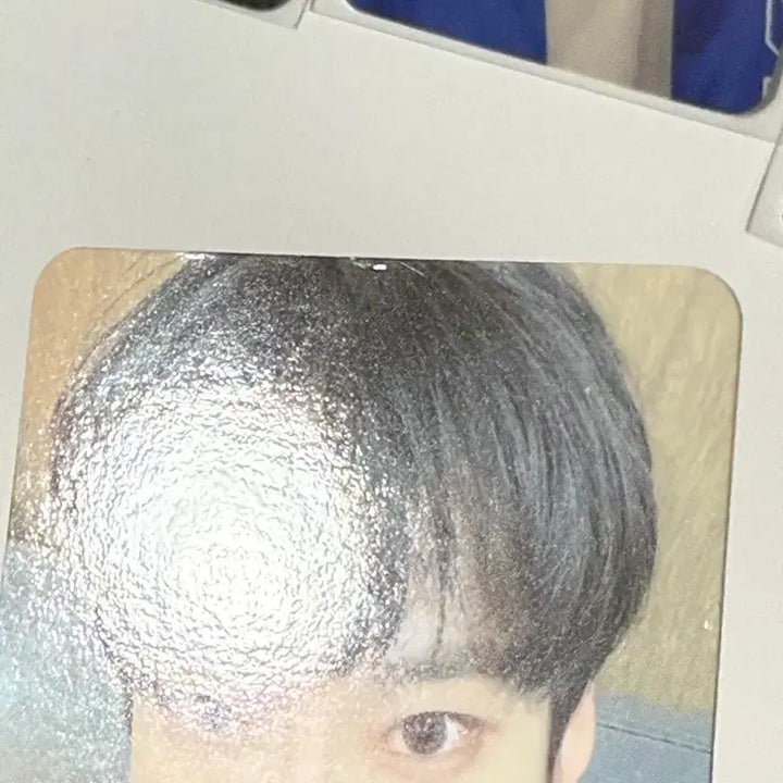 Nct 도영 포카 판매