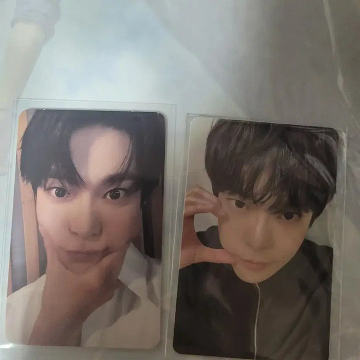 엔시티 도영 soar 앨범 양도