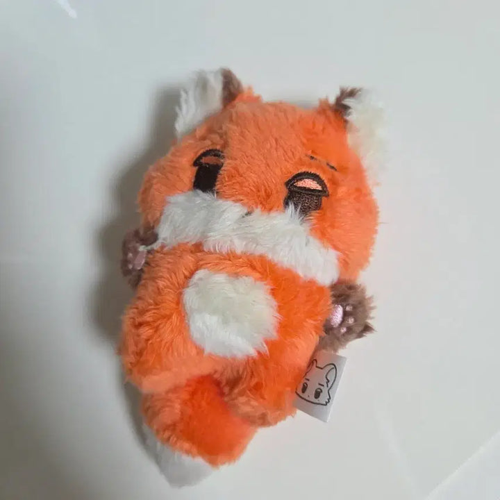 에스파 윈터 여우 직직이 여직이 인형 양도 winter gikgik