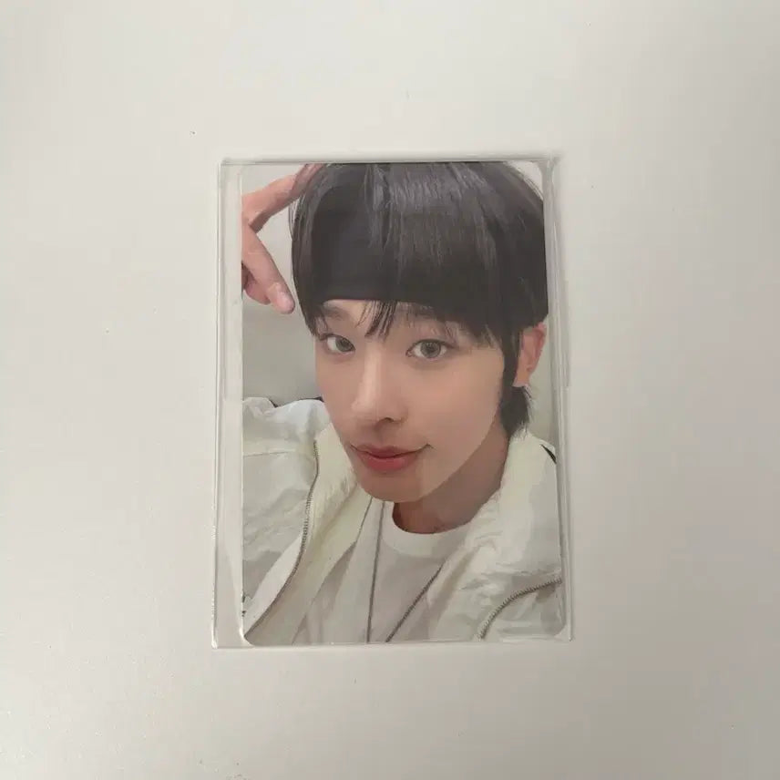 엔시티위시 컬러 5만원 리쿠 포카