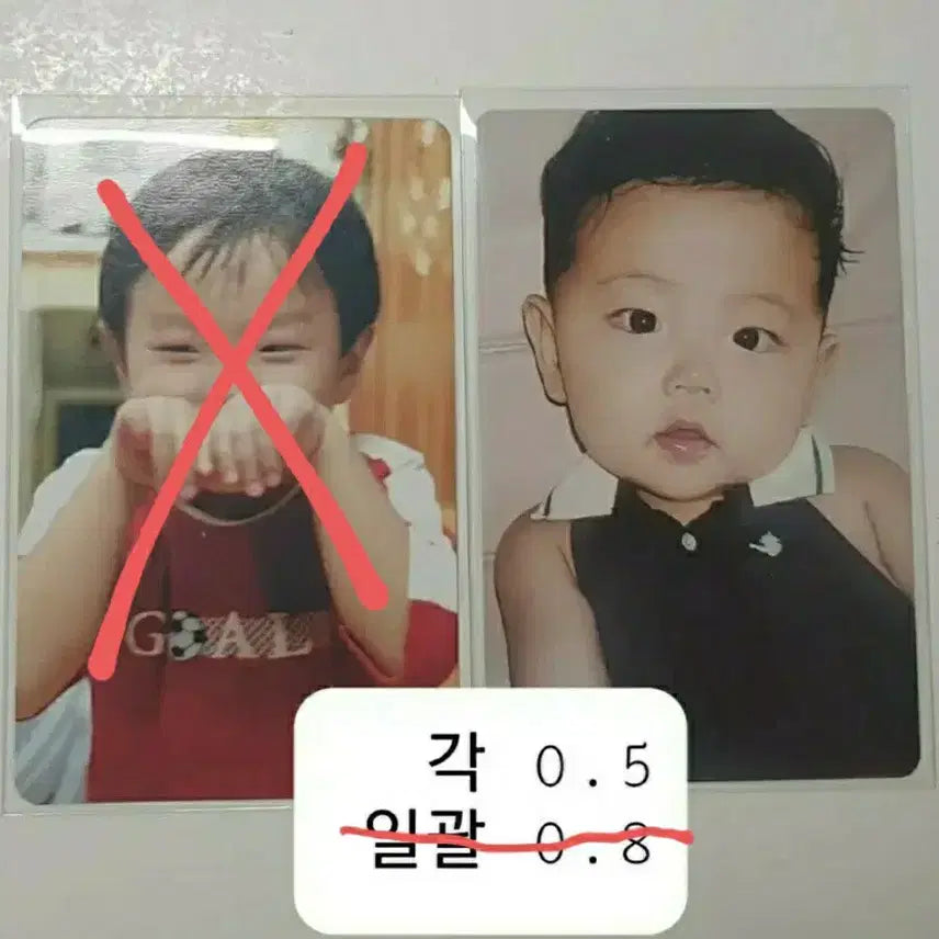 보넥도 아기포카