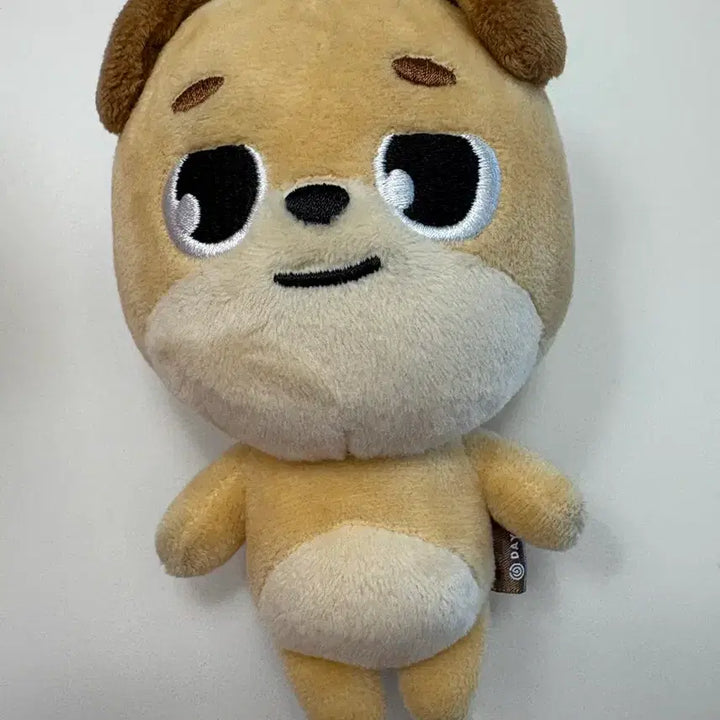 데이식스 도운 인형 20돈