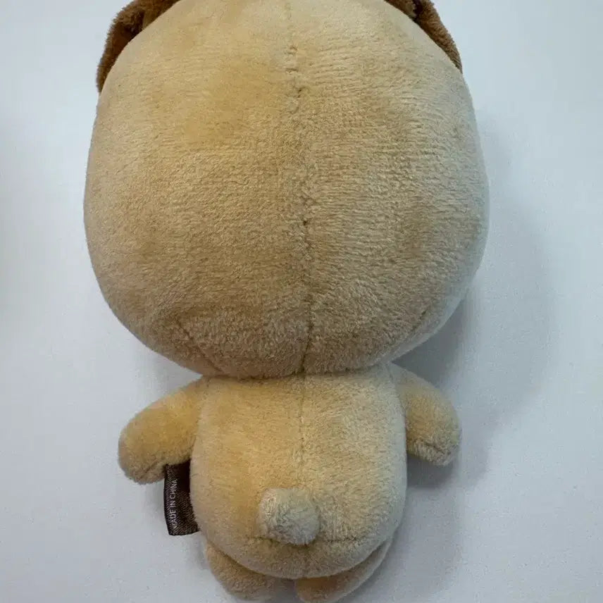 데이식스 도운 인형 20돈