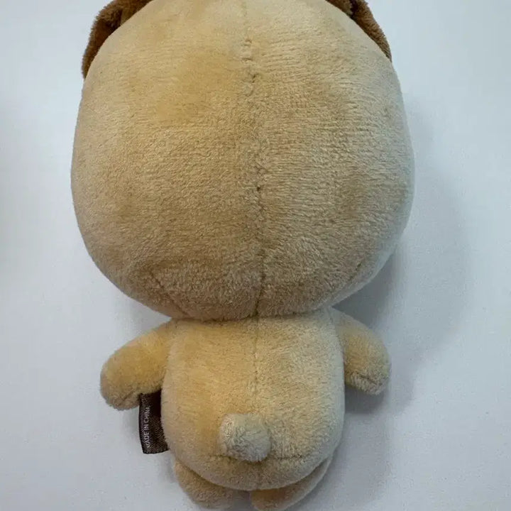 데이식스 도운 인형 20돈