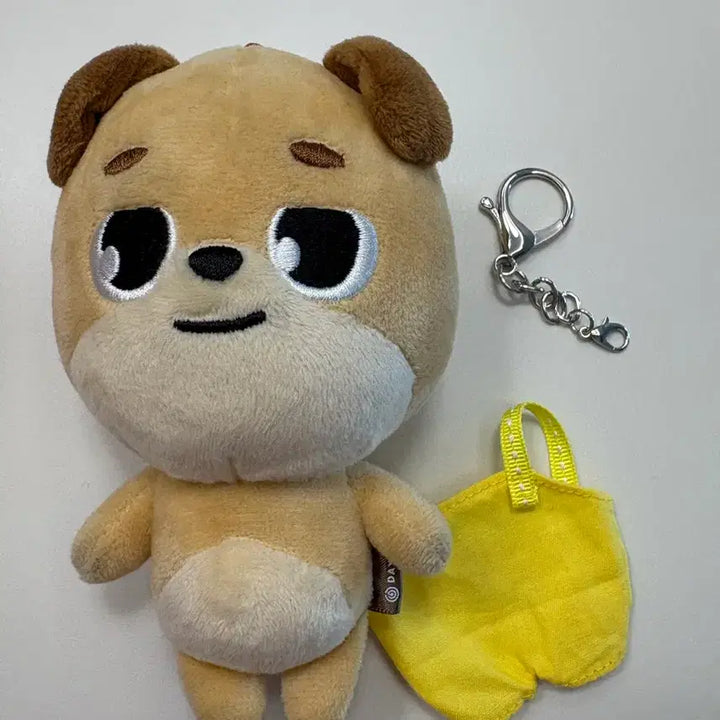 데이식스 도운 인형 20돈