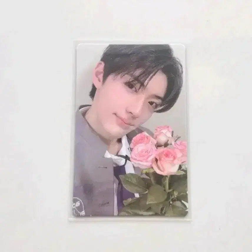 (최저가) 알디원 정상현 보2플 2주차 5번 포카