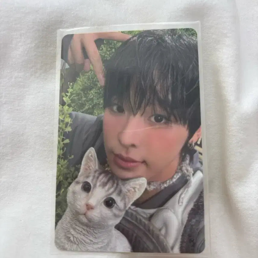 엔시티 위시 리쿠 포카