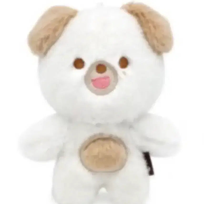 오늘만이가격) 택 보유 쁘띠멀즈 돈 도운 데이식스 인형 데니멀즈 콘서트